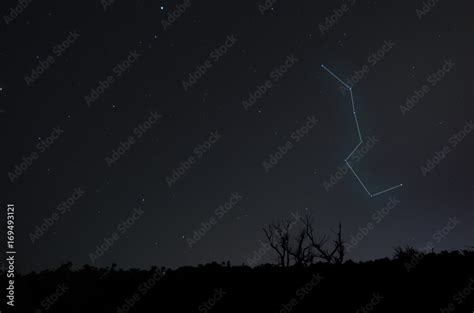 七星照片|368 北斗七星 Stock Photos, High